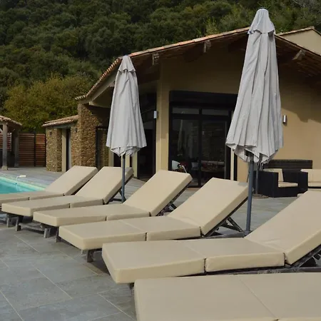 Avec Piscine A Debordement Et Vue *